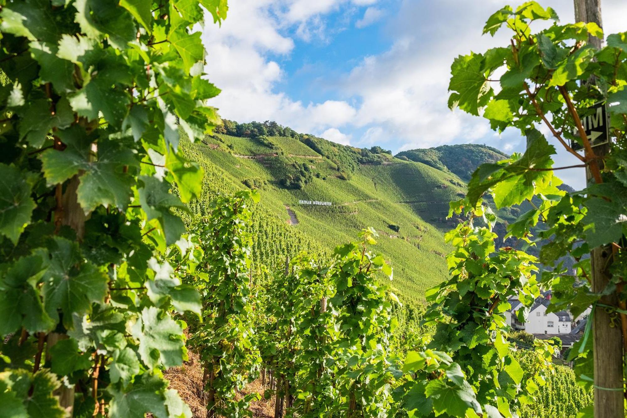 Ürzig Weingut / Gaestehaus Gerlach מראה חיצוני תמונה
