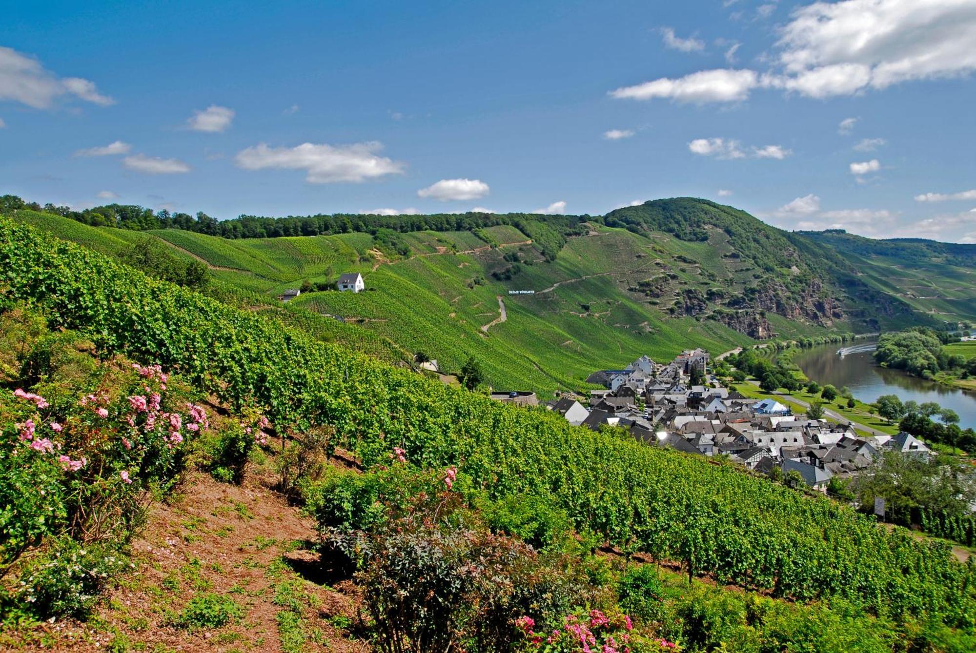 Ürzig Weingut / Gaestehaus Gerlach מראה חיצוני תמונה