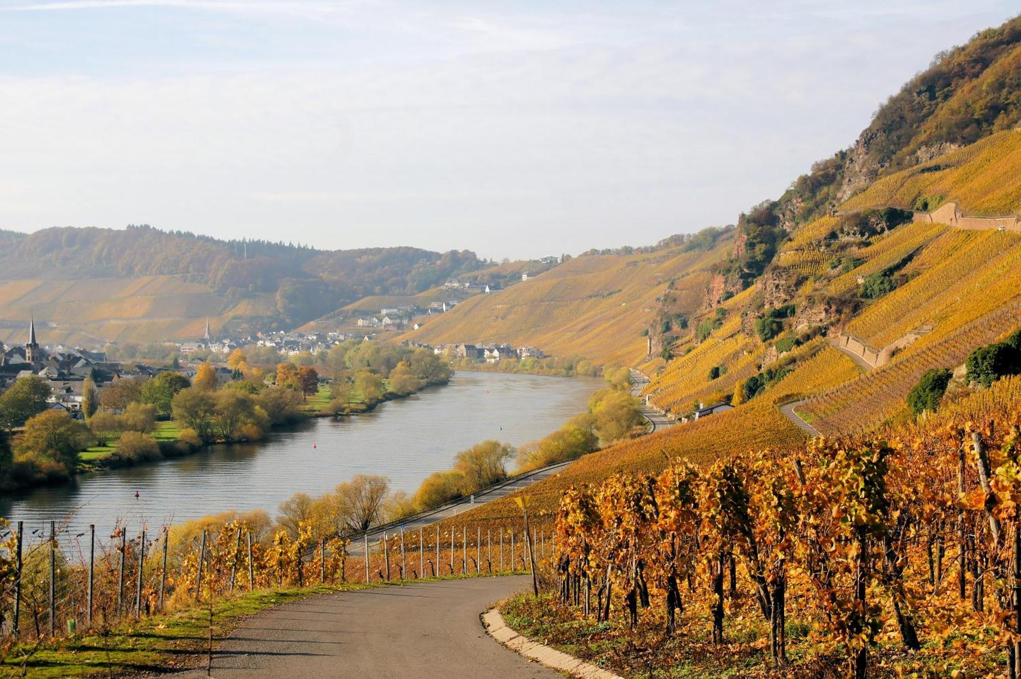 Ürzig Weingut / Gaestehaus Gerlach מראה חיצוני תמונה