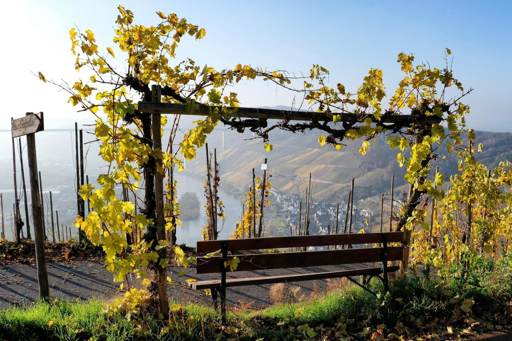 Ürzig Weingut / Gaestehaus Gerlach מראה חיצוני תמונה