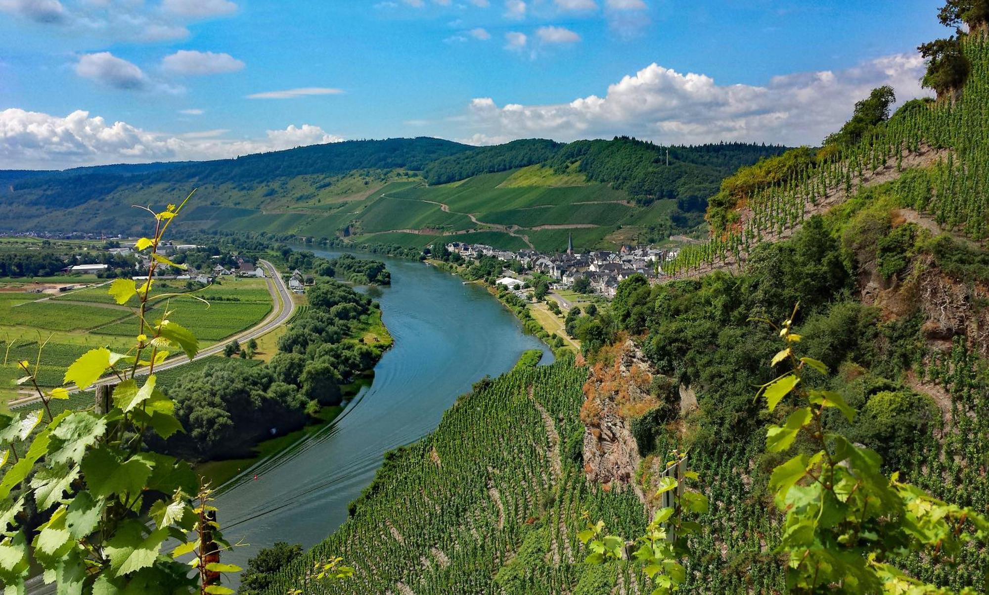 Ürzig Weingut / Gaestehaus Gerlach מראה חיצוני תמונה