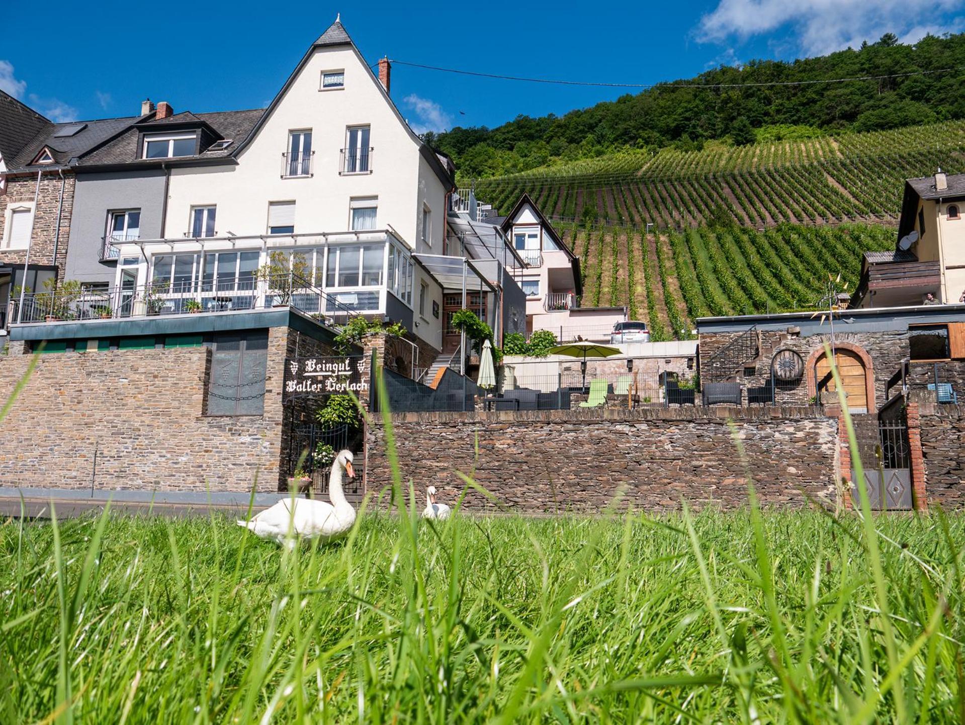 Ürzig Weingut / Gaestehaus Gerlach מראה חיצוני תמונה