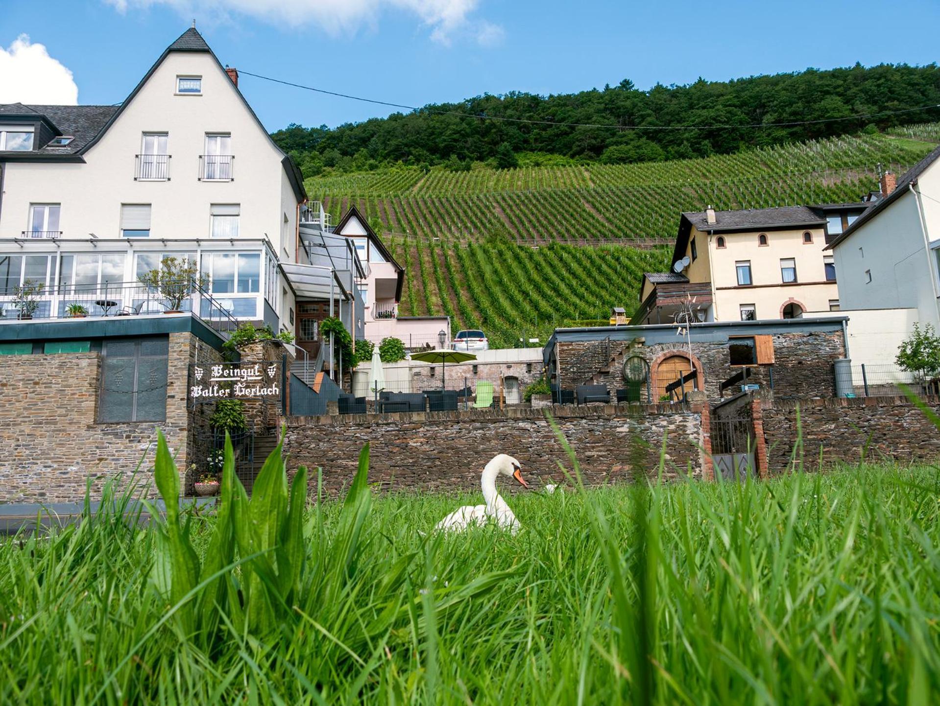 Ürzig Weingut / Gaestehaus Gerlach מראה חיצוני תמונה