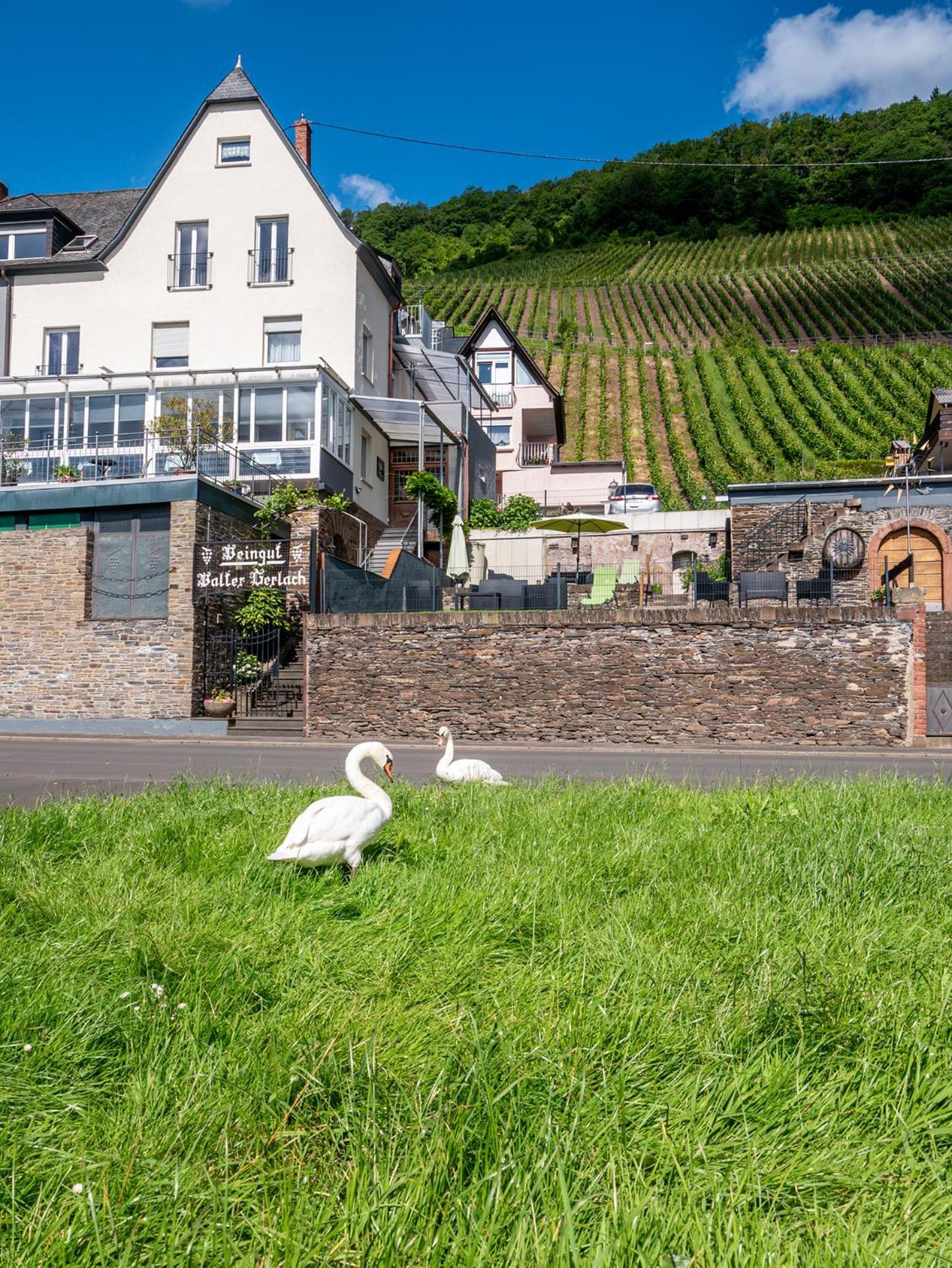 Ürzig Weingut / Gaestehaus Gerlach מראה חיצוני תמונה